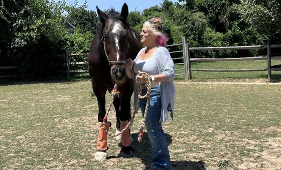 world-horse-day:-honoring-humanity’s-oldest-and-most-loyal-companion
