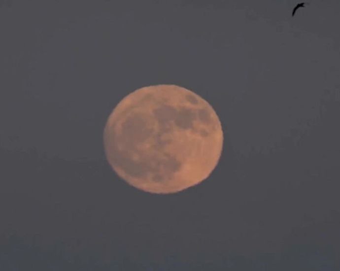 what-is-a-buck-moon?-everything-you-need-to-know-about-the-first-full-moon-of-summer