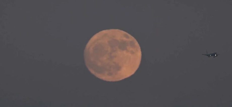 what-is-a-buck-moon?-everything-you-need-to-know-about-the-first-full-moon-of-summer
