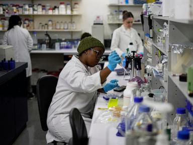 us-aid-cuts-halt-hiv-vaccine-research-in-south-africa,-with-global-impact