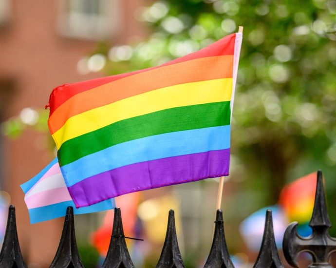 after-erasing-‘trans’-references-under-the-traitor,-stonewall-website-deletes-another-part-of-lgbtq