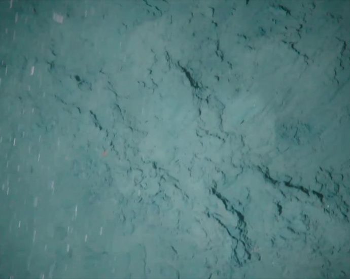 ancient-secrets-uncovered-under-80-million-year-old-ice-sheets-in-antarctica