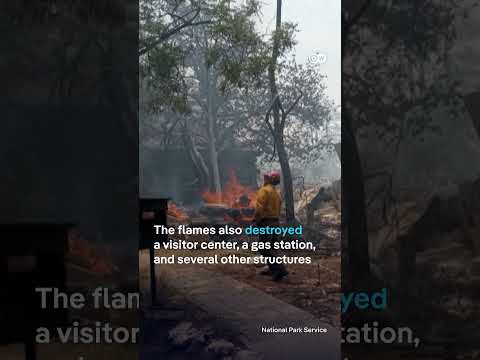 grand-canyon-wildfire-blazes-burn-down-historic-lodge-|-dw-news