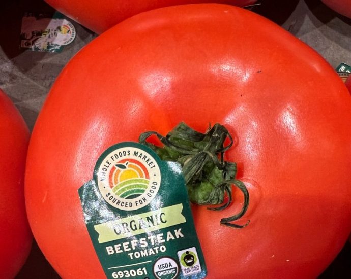 the-traitor-slaps-17-percent-tariff-on-tomatoes-from-mexico