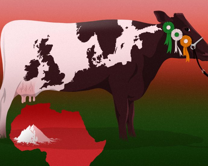 how-ireland’s-‘mediocre’-milk-powder-made-it-big-in-west-africa