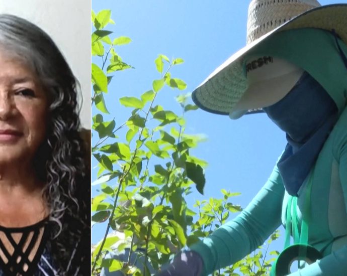 “farmworkers’-voices-are-not-being-heard”:-ufw-president-teresa-romero-on-ice-raids-&-workers’-lives