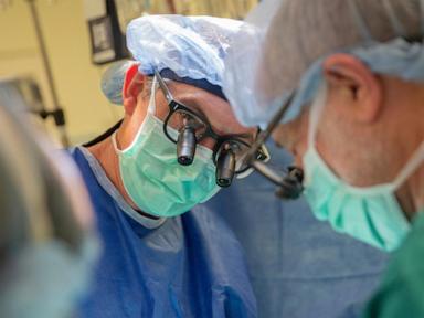 researchers-try-new-ways-of-preserving-more-hearts-for-transplants