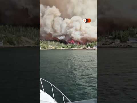 eyewitness-video-shows-wildfire-burning-near-canada’s-chance-harbour-|-reuters