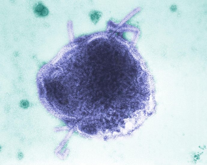 day-care-measles-exposure-forces-iowa-family-to-take-weeks-off-work-for-baby:-‘it-only-takes-one’