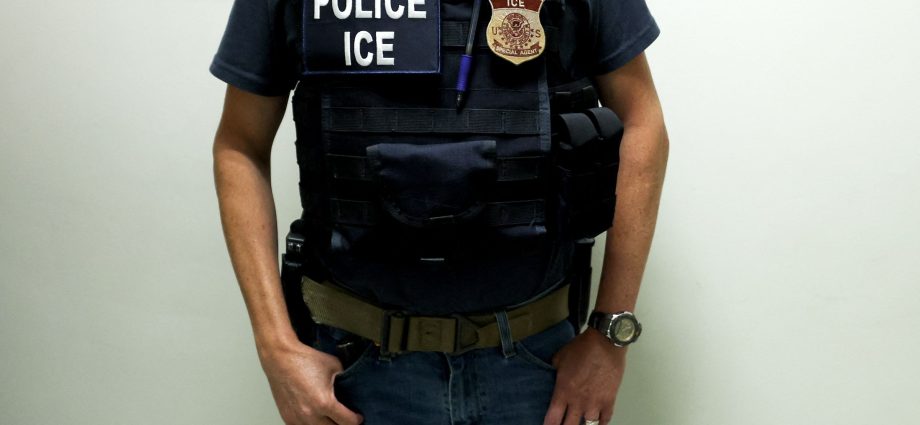 ice-is-getting-unprecedented-access-to-medicaid-data