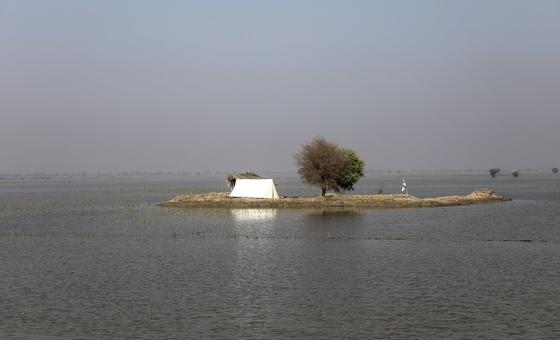 pakistan-reels-under-monsoon-deluge-as-death-toll-climbs
