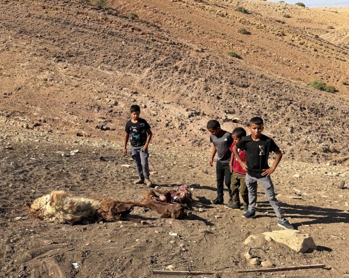 palestinian-child-shot-dead-in-west-bank-by-israeli-forces-amid-land-grabs
