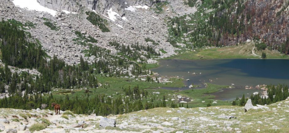 wyoming’s-crowded-lonesome-lake-tops-epa’s-national-survey-for-fecal-contamination