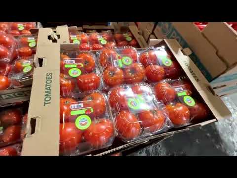 us-wholesaler-says-tomatoes-will-be-limited-due-to-tariffs-|-reuters