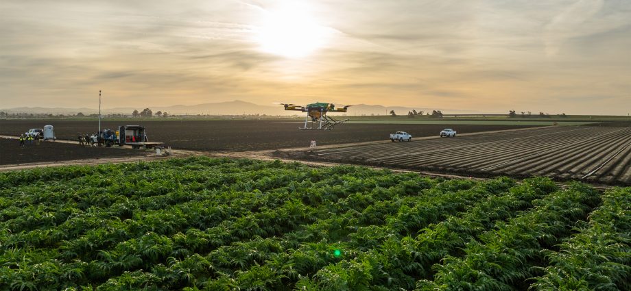 guardian-ag’s-crop-spraying-drone-is-replacing-dangerous-pilot-missions