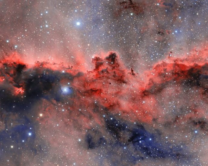 ‘Fighting dragons’ light up little-known constellation in the Southern sky: Space photo of the week