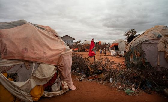 droughts-are-causing-record-devastation-worldwide,-un-backed-report-reveals