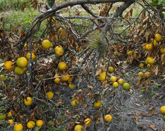 how-climate-change-is-raising-your-grocery-bill