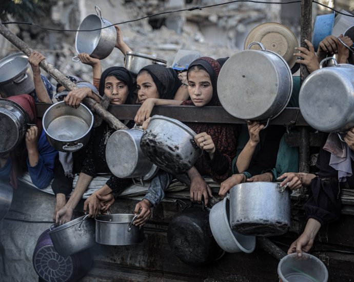 28-countries-called-for-an-end-to-israel’s-war-on-gaza:-what-did-they-say?