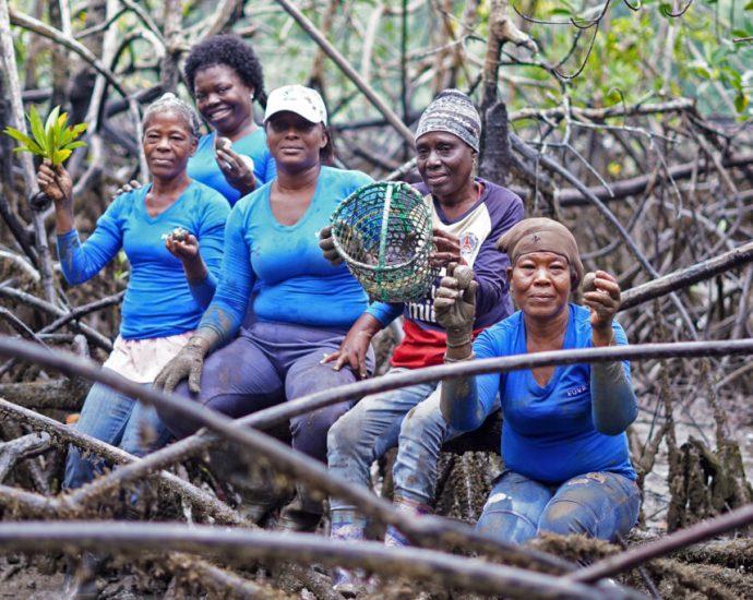 want-to-fight-climate-change?-give-afro-descendant-communities-land-rights,-new-report-says