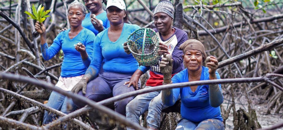 want-to-fight-climate-change?-give-afro-descendant-communities-land-rights,-new-report-says