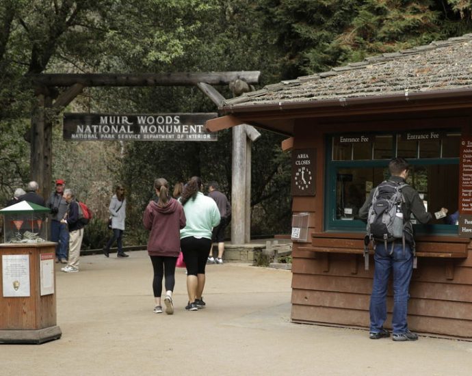 whitewashing-the-history-of-a-national-monument