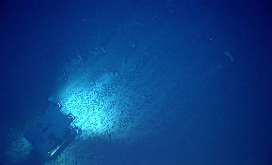deep-dive-into-the-international-seabed-authority:-why-it-matters-now