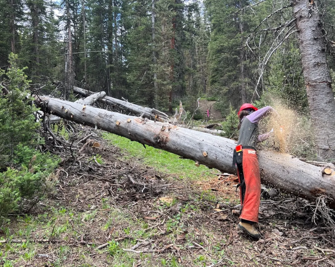 in-wyoming,-forestry-work-is-female