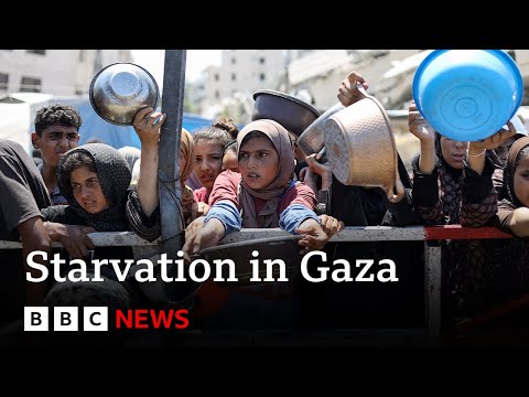 gaza-faces-‘man-made-mass-starvation’,-says-who-chief-|-bbc-news