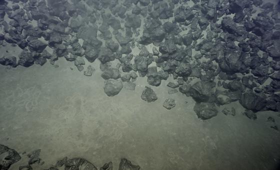 deep-sea-must-not-turn-into-‘wild-west’-of-rare-minerals-exploitation,-agency-head-says