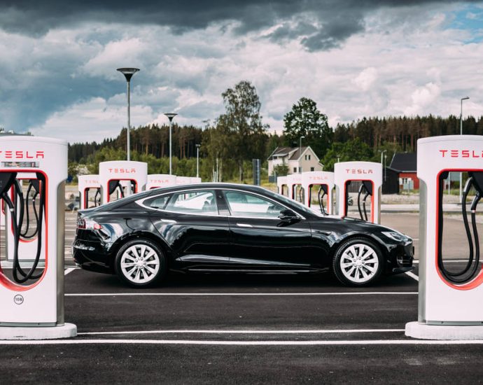 tesla-bets-on-bot-smoke-screen-as-political-and-market-realities-bite