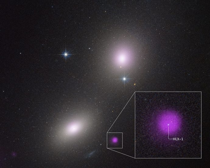NASA’s Hubble, Chandra Spot Rare Type of Black Hole Eating a Star