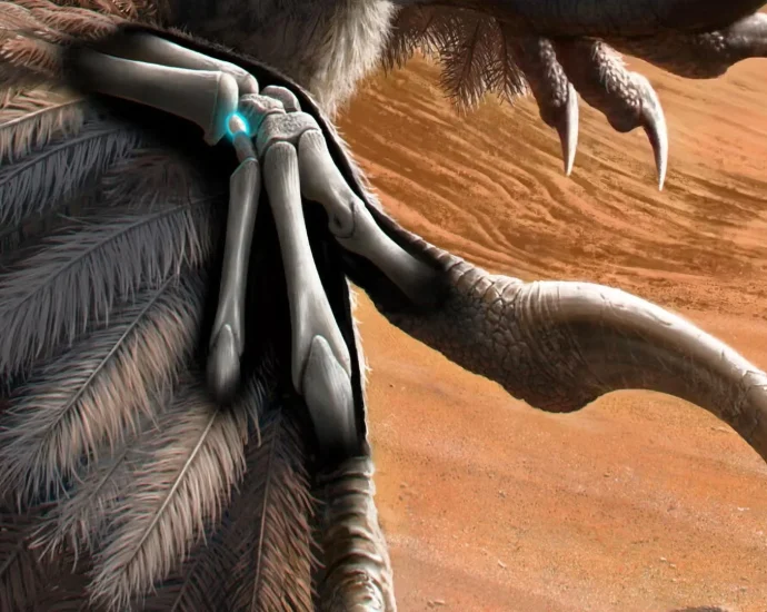 a-tiny-dinosaur-bone-just-rewrote-the-origin-of-bird-flight