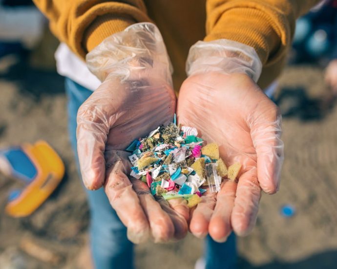 study:-microplastics-wreaking-havoc-on-human-hormones,-fertility