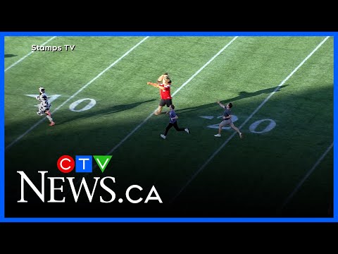 ctv-calgary-reporters-face-the-‘world’s-fastest-cow’