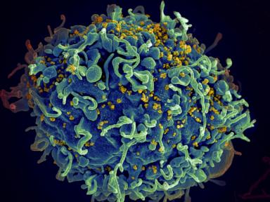 eu-regulator-green-lights-an-injectable-hiv-drug-that-could-help-stop-transmission