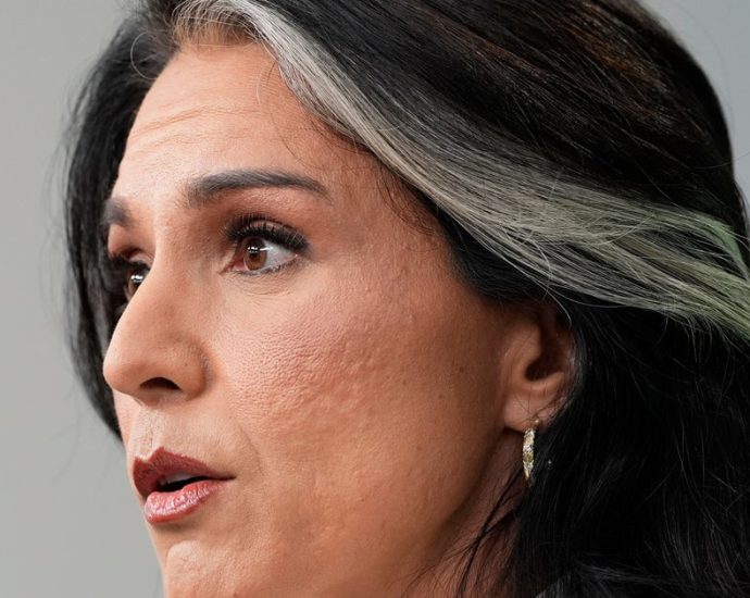 gop-senator-says-timing-of-tulsi-gabbard’s-obama-conspiracy-push-seems-curious