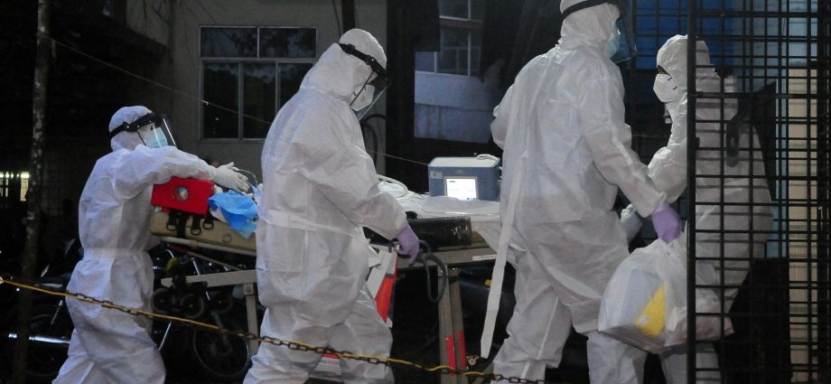 what-is-the-nipah-virus-and-is-it-spreading-in-southern-india?