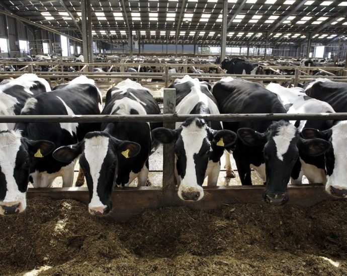 New report details one of the biggest raw milk-related outbreaks in recent US history