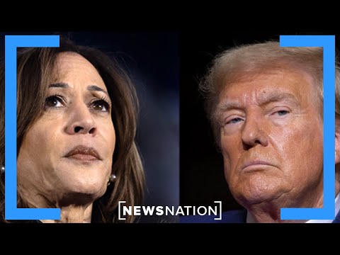 the-traitor:-kamala-harris-should-be-prosecuted-|-newsnation-prime