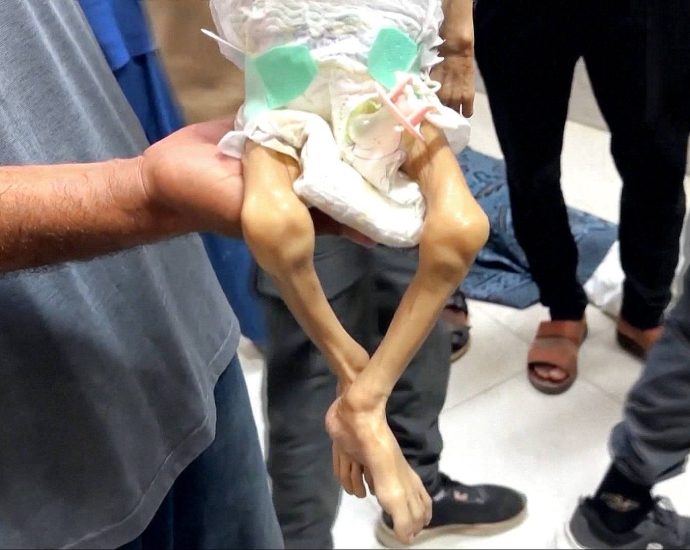 what-has-israel’s-denial-of-food-done-to-gaza’s-people?