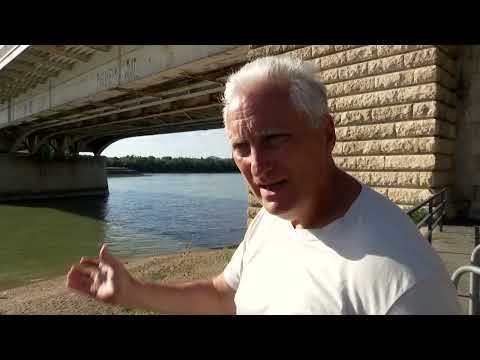 low-danube-waters-bring-mayfly-swarms-in-budapest-|-reuters