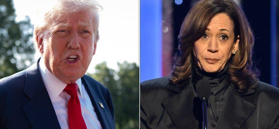 the-traitor-calls-for-kamala-harris-to-be-prosecuted,-again-alleging-she-paid-for-celebrity-endorsements