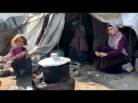 two-israeli-rights-groups-accuse-israel-of-genocide-|-reuters