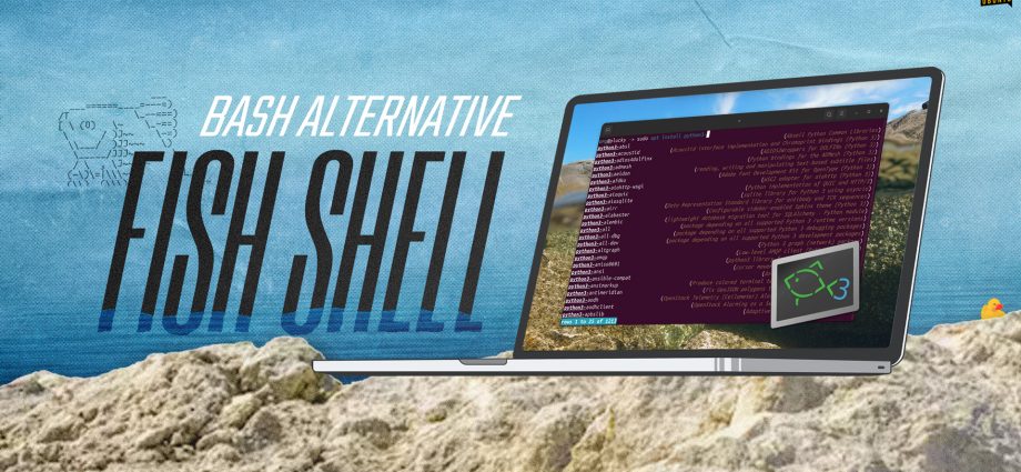 fish-is-like-bash-with-a-brain-—-here’s-how-to-try-it-on-ubuntu