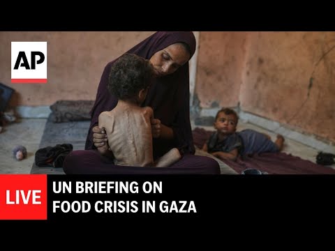 live:-un-briefing-on-food-crisis-in-gaza