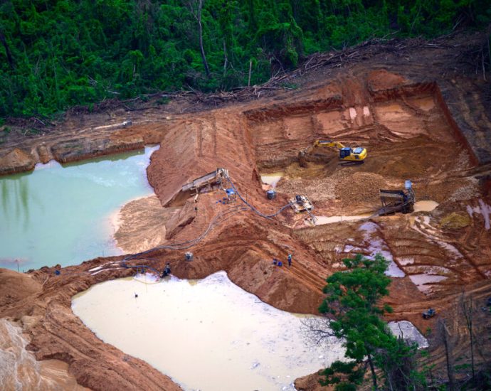un-human-rights-experts-and-scientists-urge-brazil’s-president-to-veto-a-law-that-would-cut-environmental-reviews