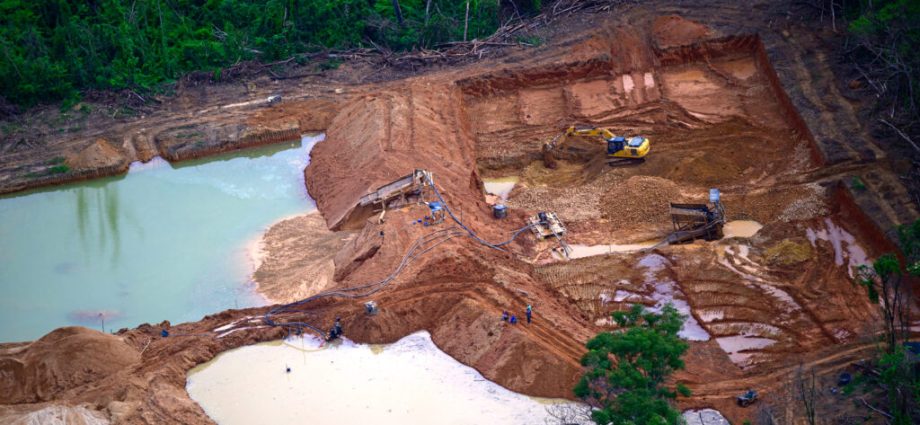 un-human-rights-experts-and-scientists-urge-brazil’s-president-to-veto-a-law-that-would-cut-environmental-reviews