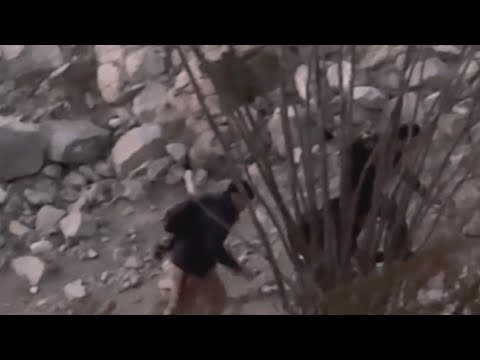 border-patrol-encounters-still-high-across-el-paso-sector-|-newsnation-now