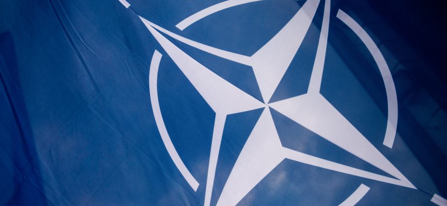 GOP Senator: Congress Must Hold NATO to Its 5 Percent Defense Spending Commitment | Opinion